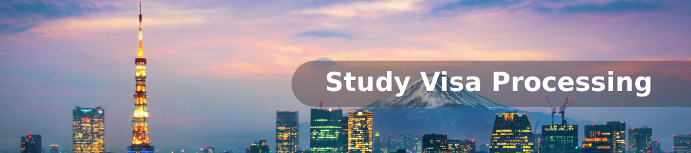 Step-by-Step Guidance and High Success Rate for a Smooth Visa Application